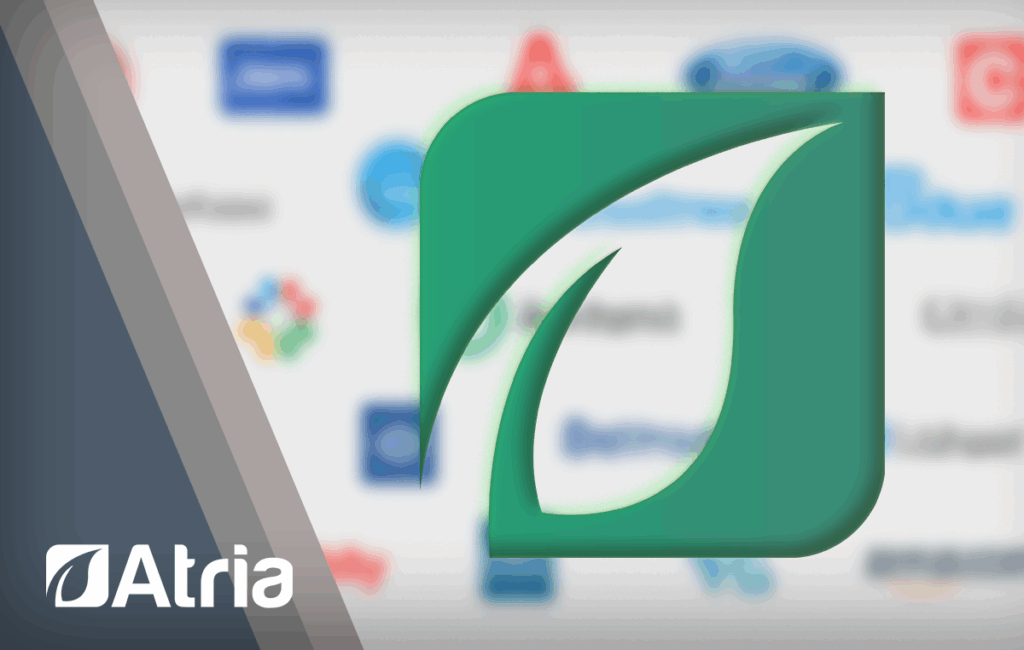 Passion vs. Process: Why Employers Should Demand More Than Transactional Brokers